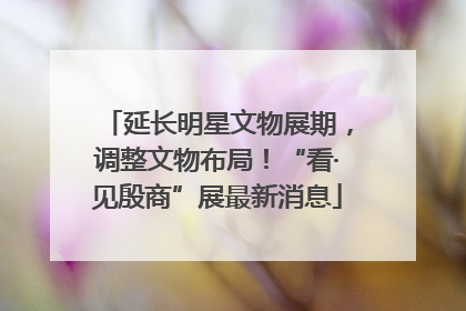 延长明星文物展期，调整文物布局！“看·见殷商”展最新消息