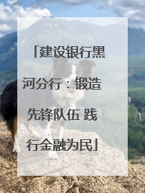 建设银行黑河分行：锻造先锋队伍 践行金融为民