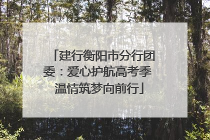 建行衡阳市分行团委：爱心护航高考季 温情筑梦向前行