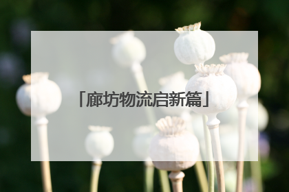 廊坊物流启新篇