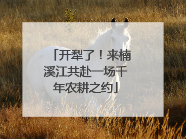 开犁了！来楠溪江共赴一场千年农耕之约