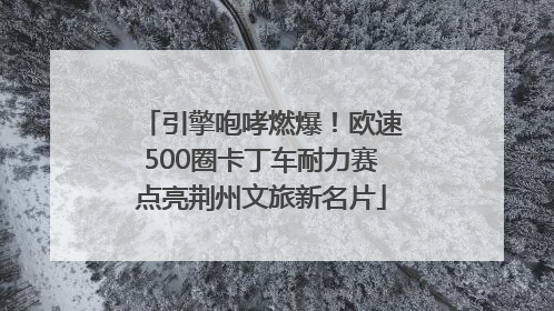 引擎咆哮燃爆！欧速500圈卡丁车耐力赛点亮荆州文旅新名片