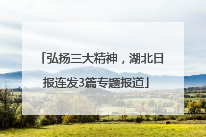 弘扬三大精神，湖北日报连发3篇专题报道