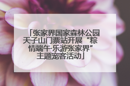 张家界国家森林公园天子山门票站开展“粽情端午·乐游张家界”主题宠客活动