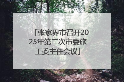 张家界市召开2025年第二次市委旅工委主任会议