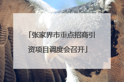 张家界市重点招商引资项目调度会召开