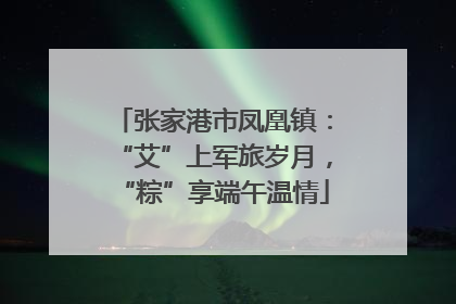 张家港市凤凰镇：“艾”上军旅岁月，“粽”享端午温情