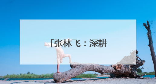 张林飞：深耕实体经济的多元产业开拓者