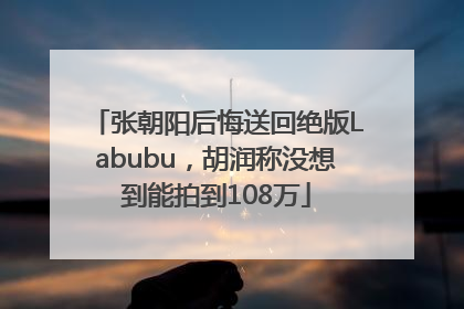 张朝阳后悔送回绝版Labubu，胡润称没想到能拍到108万