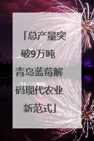 总产量突破9万吨 青岛蓝莓解码现代农业新范式
