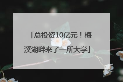 总投资10亿元！梅溪湖畔来了一所大学