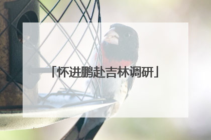 怀进鹏赴吉林调研
