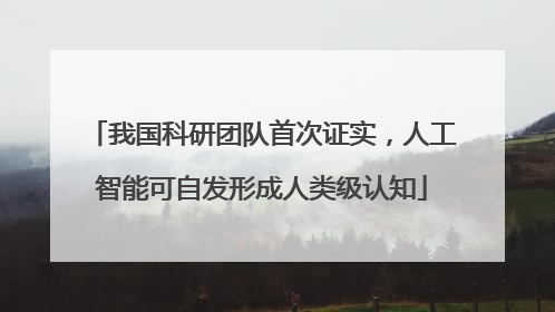 我国科研团队首次证实，人工智能可自发形成人类级认知