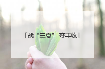 战“三夏” 夺丰收