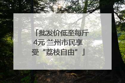 批发价低至每斤4元 兰州市民享受“荔枝自由”