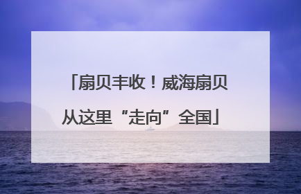 扇贝丰收！威海扇贝从这里“走向”全国