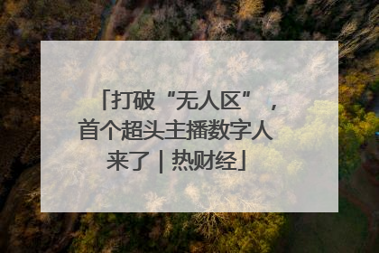 打破“无人区”，首个超头主播数字人来了｜热财经