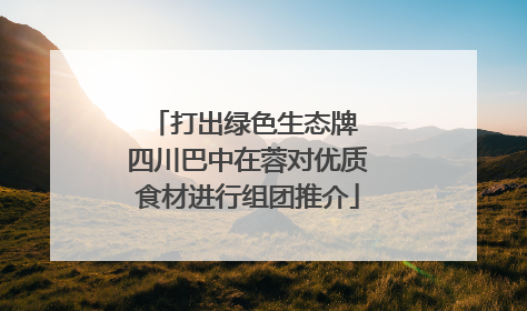 打出绿色生态牌 四川巴中在蓉对优质食材进行组团推介