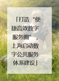 打造“便捷高效数字服务圈”，上海启动数字公共服务体系建设