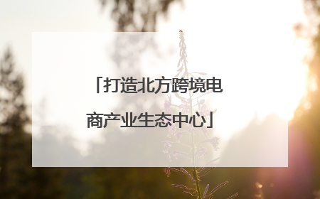 打造北方跨境电商产业生态中心
