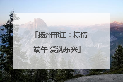扬州邗江：粽情端午 爱满东兴