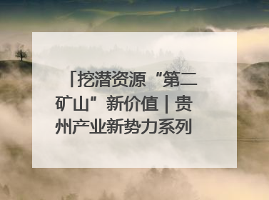挖潜资源“第二矿山”新价值｜贵州产业新势力系列报道之十四