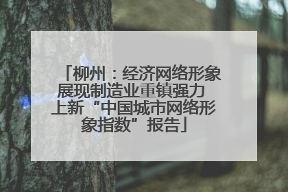 柳州：经济网络形象展现制造业重镇强力 上新“中国城市网络形象指数”报告