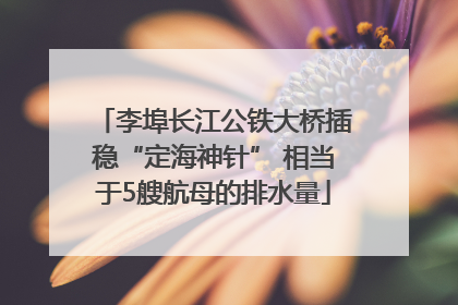 李埠长江公铁大桥插稳“定海神针” 相当于5艘航母的排水量