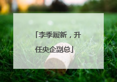 李季履新，升任央企副总