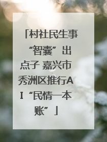 村社民生事 “智囊”出点子 嘉兴市秀洲区推行AI“民情一本账”