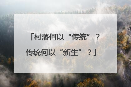 村落何以“传统”？传统何以“新生”？