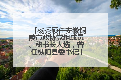 杨秀颀任安徽铜陵市政协党组成员、秘书长人选，曾任枞阳县委书记