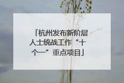 杭州发布新阶层人士统战工作“十个一”重点项目
