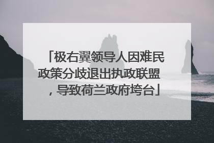 极右翼领导人因难民政策分歧退出执政联盟，导致荷兰政府垮台