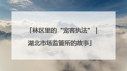 林区里的“宠客执法”｜湖北市场监管所的故事