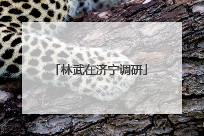 林武在济宁调研