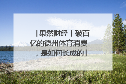 果然财经丨破百亿的德州体育消费，是如何长成的