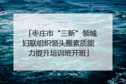 枣庄市“三新”领域妇联组织领头雁素质能力提升培训班开班