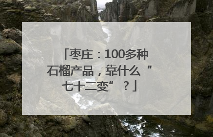 枣庄：100多种石榴产品，靠什么“七十二变”？