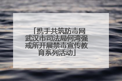 携手共筑防毒网 武汉市司法局何湾强戒所开展禁毒宣传教育系列活动
