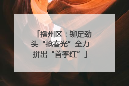 播州区：铆足劲头“抢春光”全力拼出“首季红”