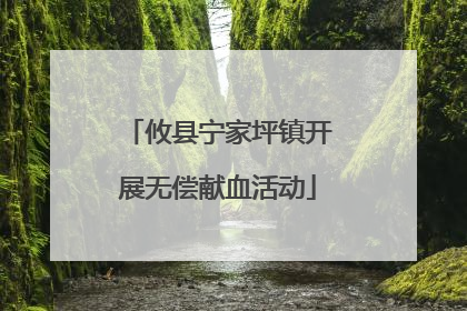 攸县宁家坪镇开展无偿献血活动