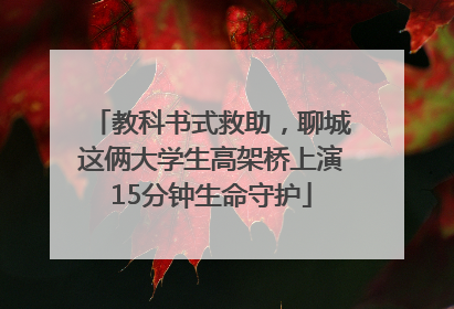 教科书式救助，聊城这俩大学生高架桥上演15分钟生命守护