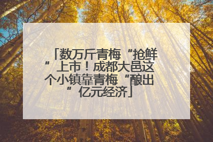 数万斤青梅“抢鲜”上市！成都大邑这个小镇靠青梅“酿出”亿元经济