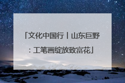 文化中国行丨山东巨野：工笔画绽放致富花