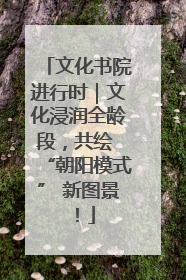 文化书院进行时｜文化浸润全龄段，共绘 “朝阳模式” 新图景！