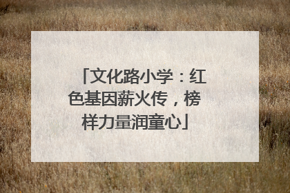 文化路小学：红色基因薪火传，榜样力量润童心