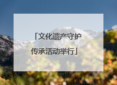 文化遗产守护传承活动举行