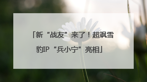 新“战友”来了！超飒雪豹IP“兵小宁”亮相