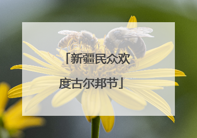 新疆民众欢度古尔邦节